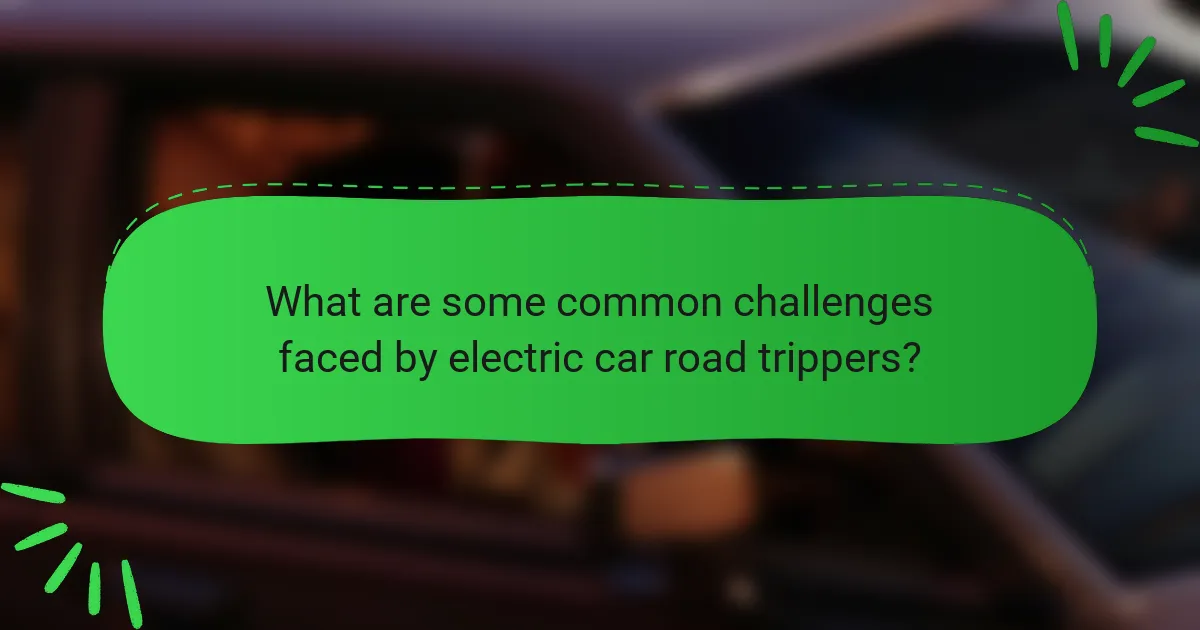 What are some common challenges faced by electric car road trippers?