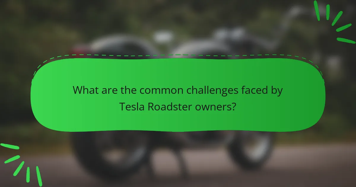 What are the common challenges faced by Tesla Roadster owners?