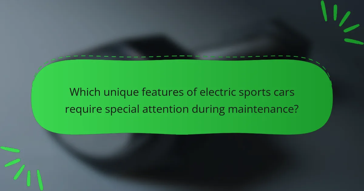Which unique features of electric sports cars require special attention during maintenance?